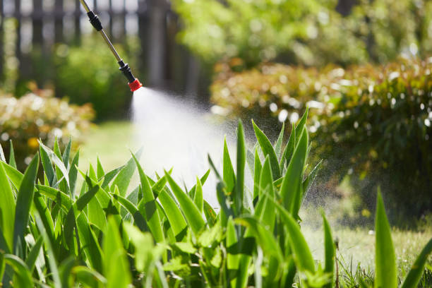 24/7 Emergency Fumigation Services experts in Woxall, PA