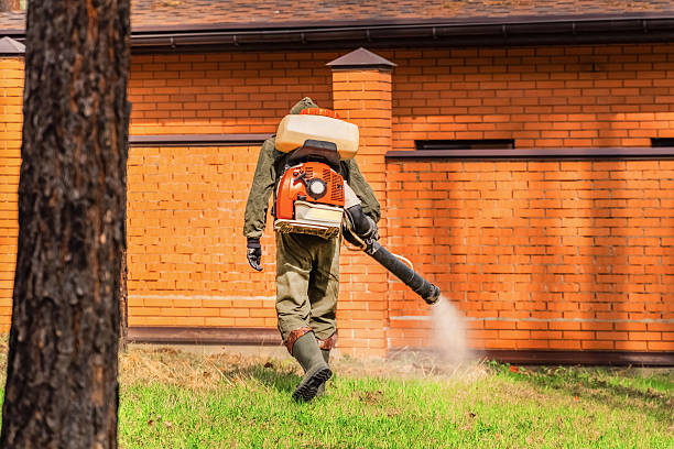 Trusted Cockroach Control service in Woxall, PA - Nex Pest Control
